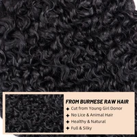 PerisModa birman bouclés paquets 100% cheveux humains paquets vierge armure Extensions de cheveux humains extrémités bouclées 1/3/4 pièces couleur naturelle 4
