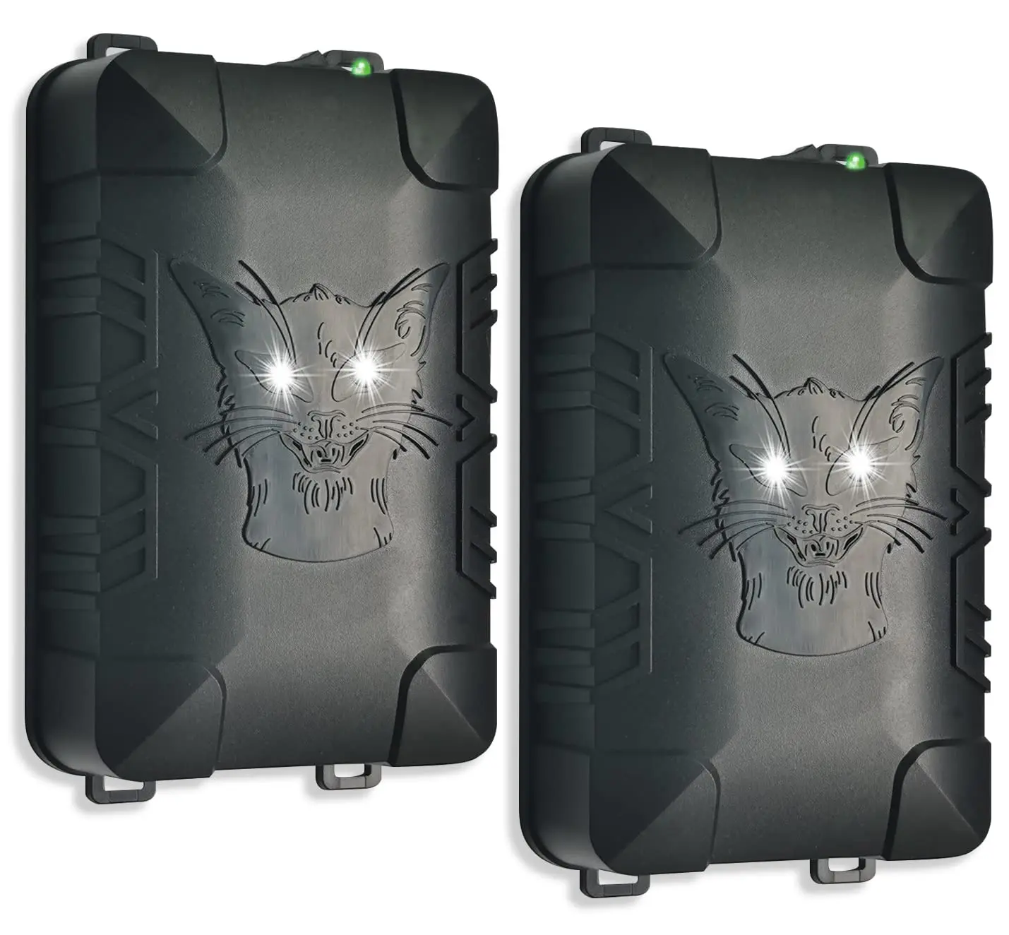 Everything You Need to Know About Squirrel Repellent Sounds