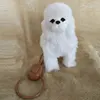 Electronic Plush Dog Toy Robot Cat Sing Song Puppy Leash Control Music Animal Walk Bark Electric Kitten Pet Kids Birthday Gift 5