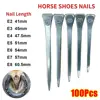 100Pcs Durable E2/E3/E4/E5/E6/E7/E8 Horseshoe Nails Steel Harness Repair Horse Shoe Nails Hoof Nails Horse Riding Supplies 2