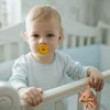 New Design Baby Pacifier Holder Bag Cartoon Animal Shape Silicone Infant Portable Soother Container Box Nipple Storage Box 6