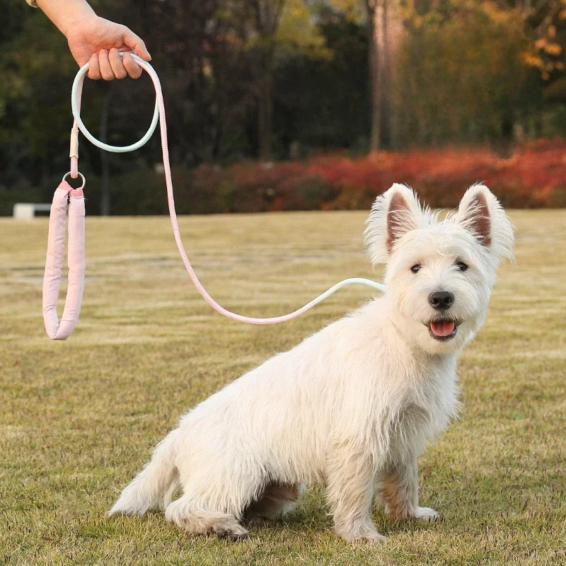 

Dog Rope Explosion Proof P Chain Walking Traction Rope Anti Breakout Dog Chain Tying