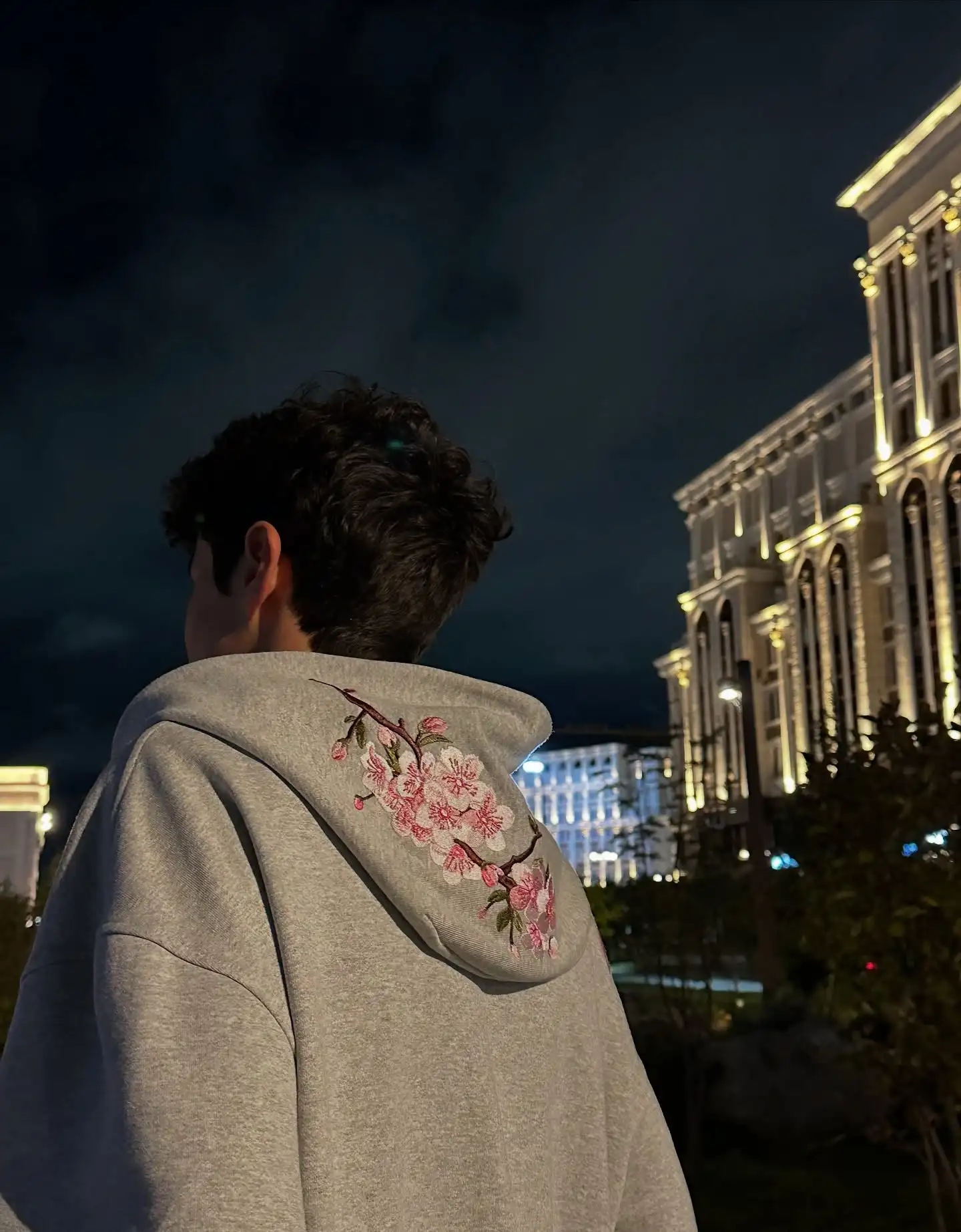 Y2K Vintage Oversized Cherry Blossom Embroidered Hooded Jacket Mens Womens Pink Zipper Coat Harajuku Hip Hop Graphic Streetwear