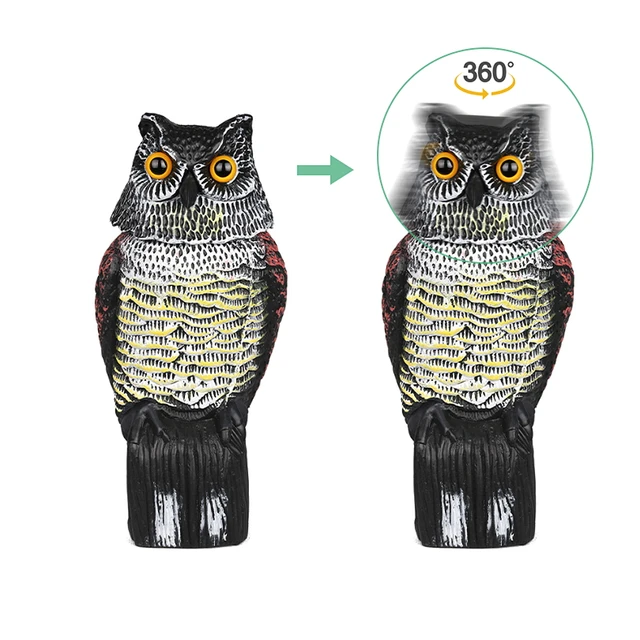 Shaking owl
