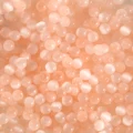Light Orange