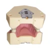 Frasaco AG3 Typodont Fit Dental 32Pcs Screw-in Teeth Model Practice Filling Standard Restoration Demo M8014-2-1 Teach Study 3