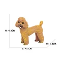 Little Poodle