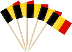 Australian Flag Toothpick Decorations - Set of 100 Cupcake and Cocktail Toppers (Belgium)