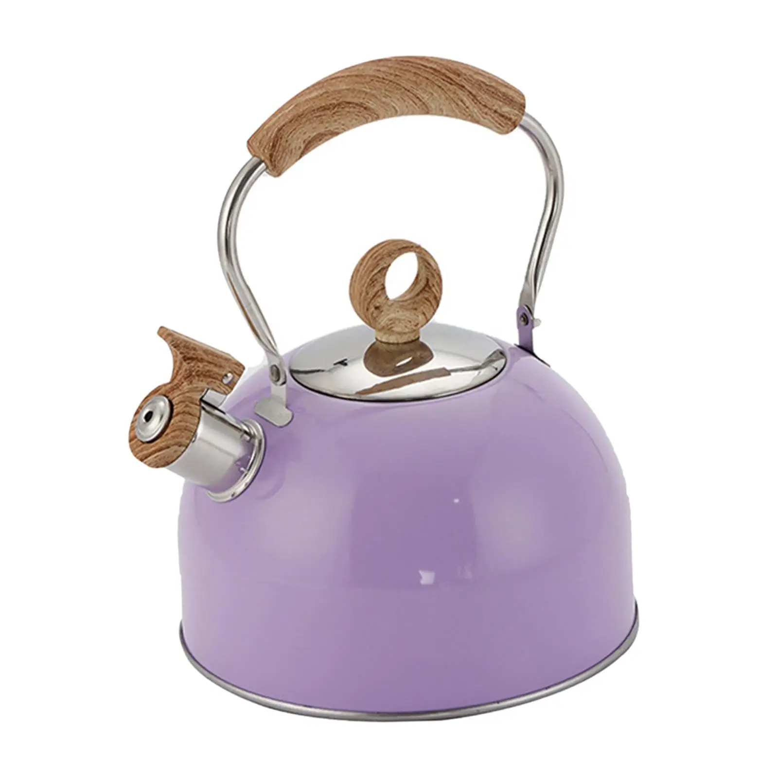 Whistling Tea Kettle for Stove Top 2.5L Stainless Steel Kettle with Heat Resistant Handle for Fast Boiling Coffee Milk and Tea