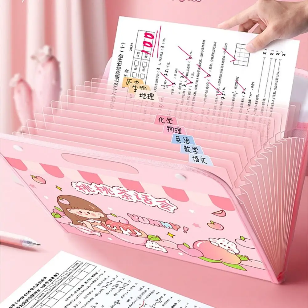 14 Pockets A4 File Folder Cartoon Horizontal Waterproof Test Paper Storage Folder PP Large Capacity Document Bag