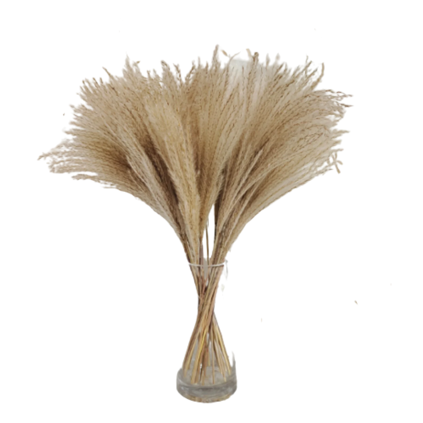 

Free Shipping,Pampas Grass Decor,Fluffy Reed, Wedding Decor,Flower Bunch,Dried Pampas Home Decore Office Decor Fall Decor