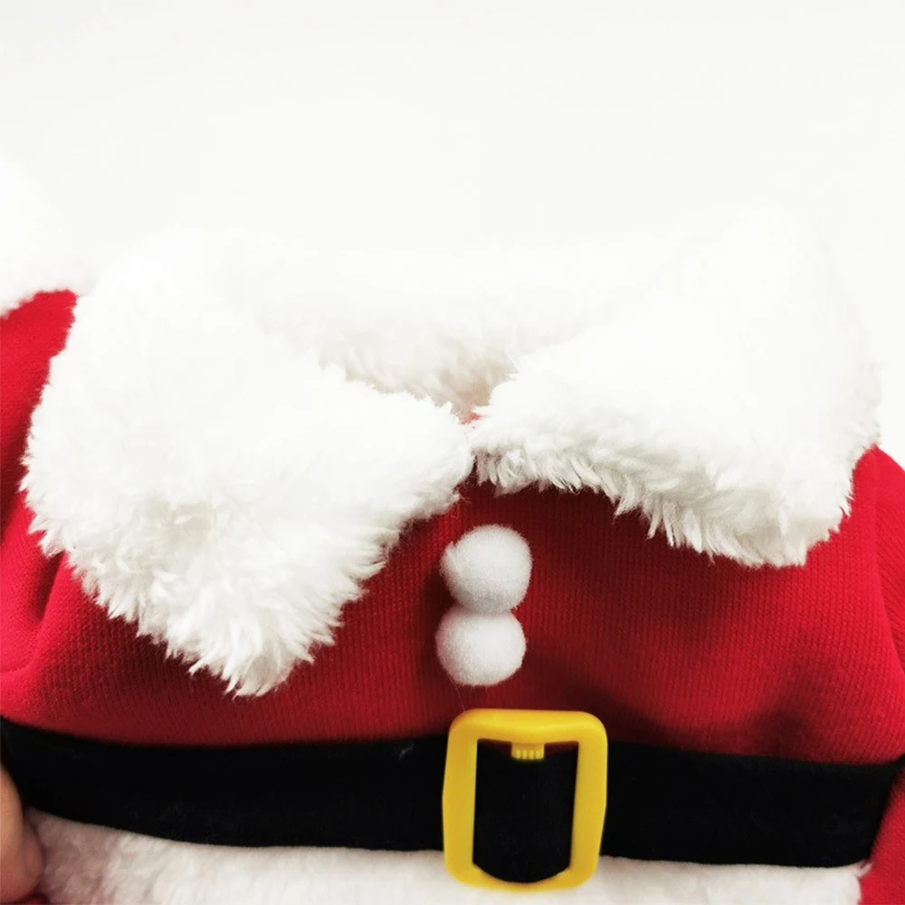 Dress your cat in KittyNook Cat Co.'s Christmas Outfits for Stylish Cats—festive red and white with a cute belt!.