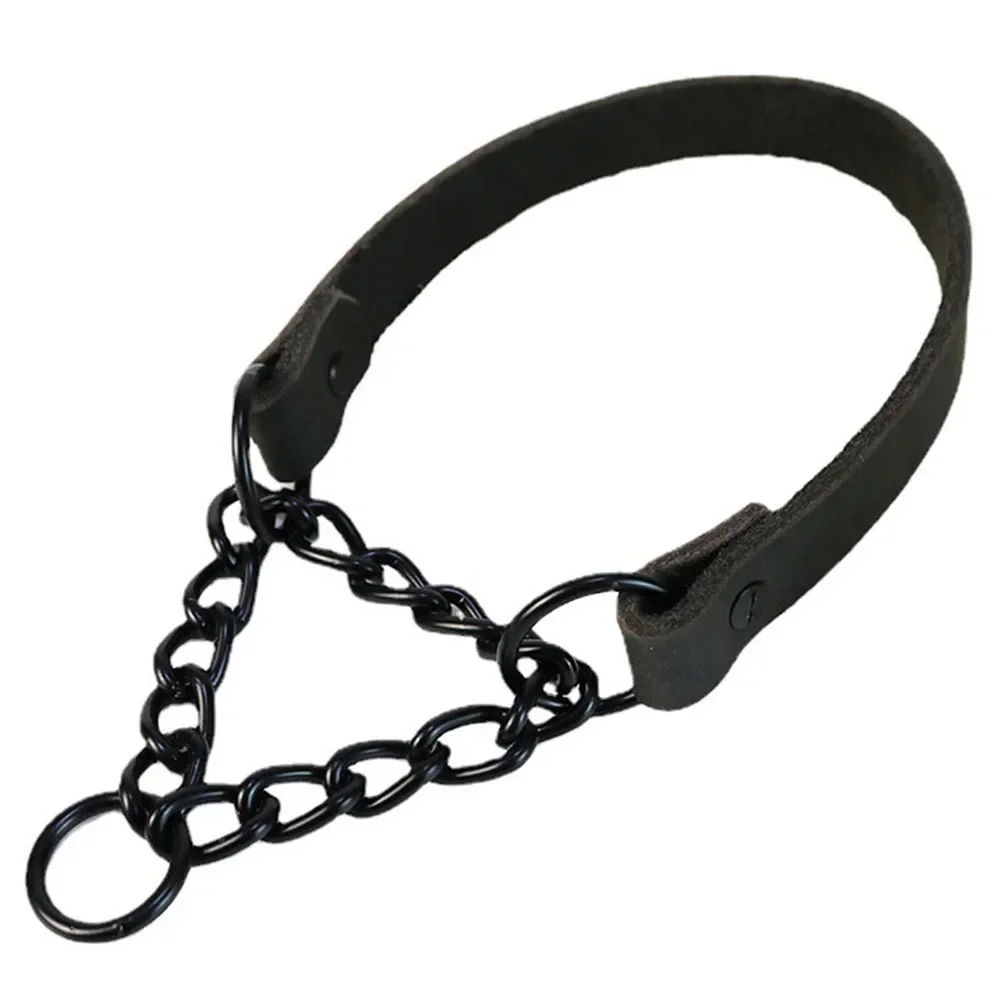 Reflektierendes Hundehalsband – Verstellbar 40–60 Cm, Gepolstert, Mit Schnellverschluss, Für Kleine & Mittlere Hunde