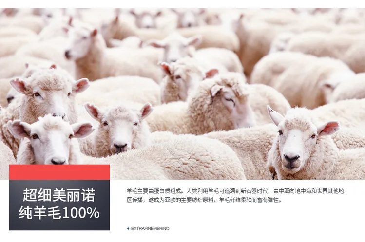 Description Picture 4 of itemMen 100% Super Fine Merino Wool Vest 2024 Spring Pure Cashmere Waistcoat V-Neck Sleevelesss Sweater Vest