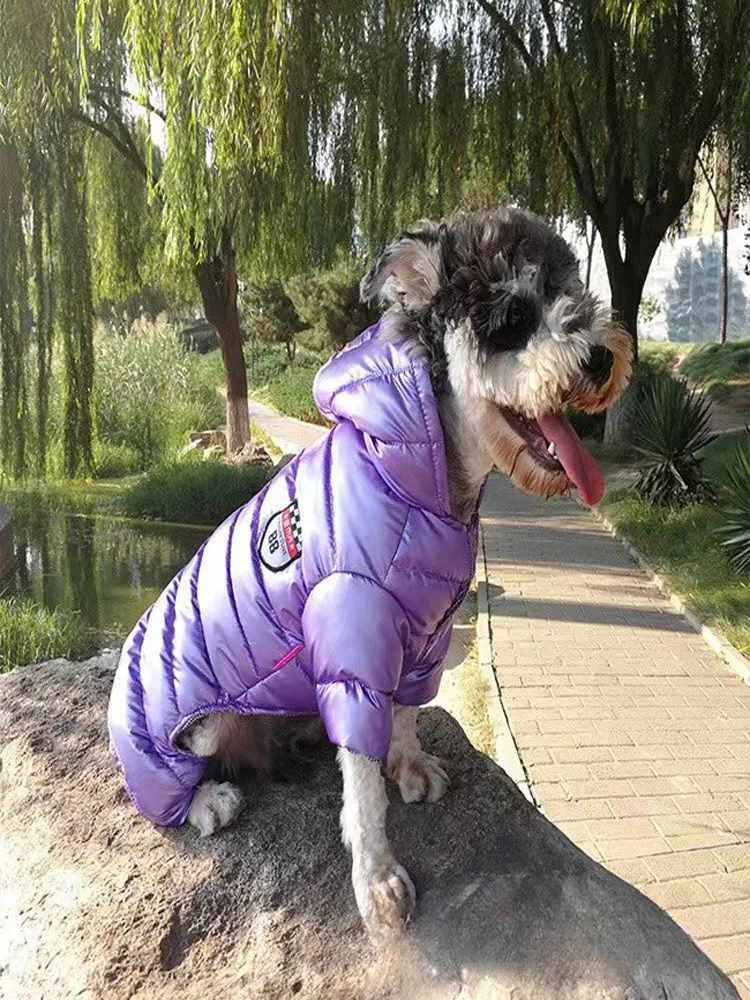 Autumn and winter pet down jacket dog winter clothing four-legged down jacket dog clothing