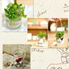 100ML Small Lucky Star Glass Bottle Cork Pudding Gift Wish Yogurt Milk Party Supplies Bottles Candle Jar Glass Jars and Lids 6