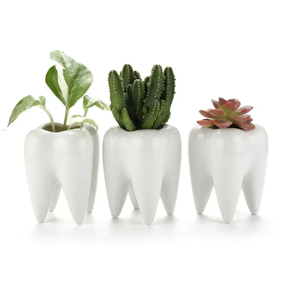 

Tooth Shaped Tabletop Ceramic Flowerpot Home Decoration Furnishings Cute Cactus Pot Flower Succulent Plant Nursery Basin Table