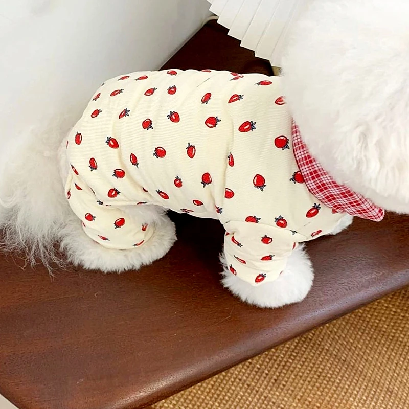 Pet Fruit Coat Winter Padded Four-legged Cotton Coat Small Dog Warm Down Teddy Birthday Gift Fashionable Dog Clothes