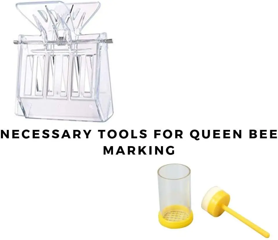 Beekeeping Supplies Beekeeping Tools Set Bee Hive Smoker Kit Cultivating Box Beehive Water Feeder Equipment 9 Pcs