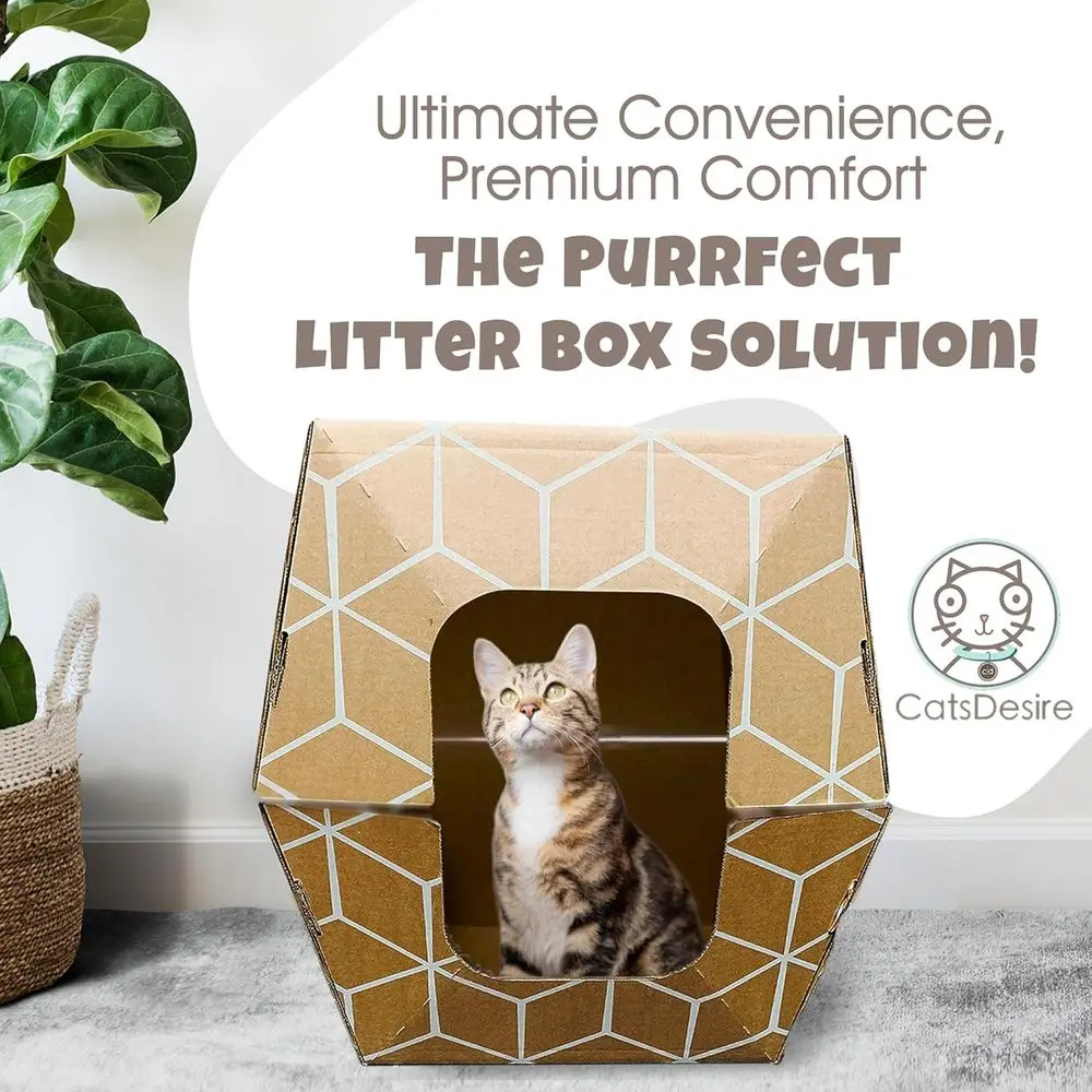 Eco-Friendly Disposable Litter Trays (10 Pack) with Low Entry & Enclosed Design in Teal on Natural Brown, Made in USA, 19x17x8.5