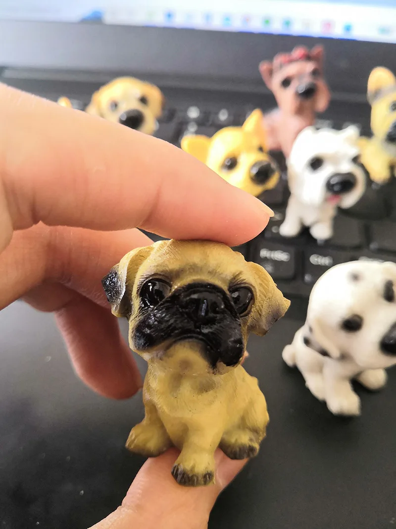 Animali domestici in miniatura: selezione, gestione, cura e benefici