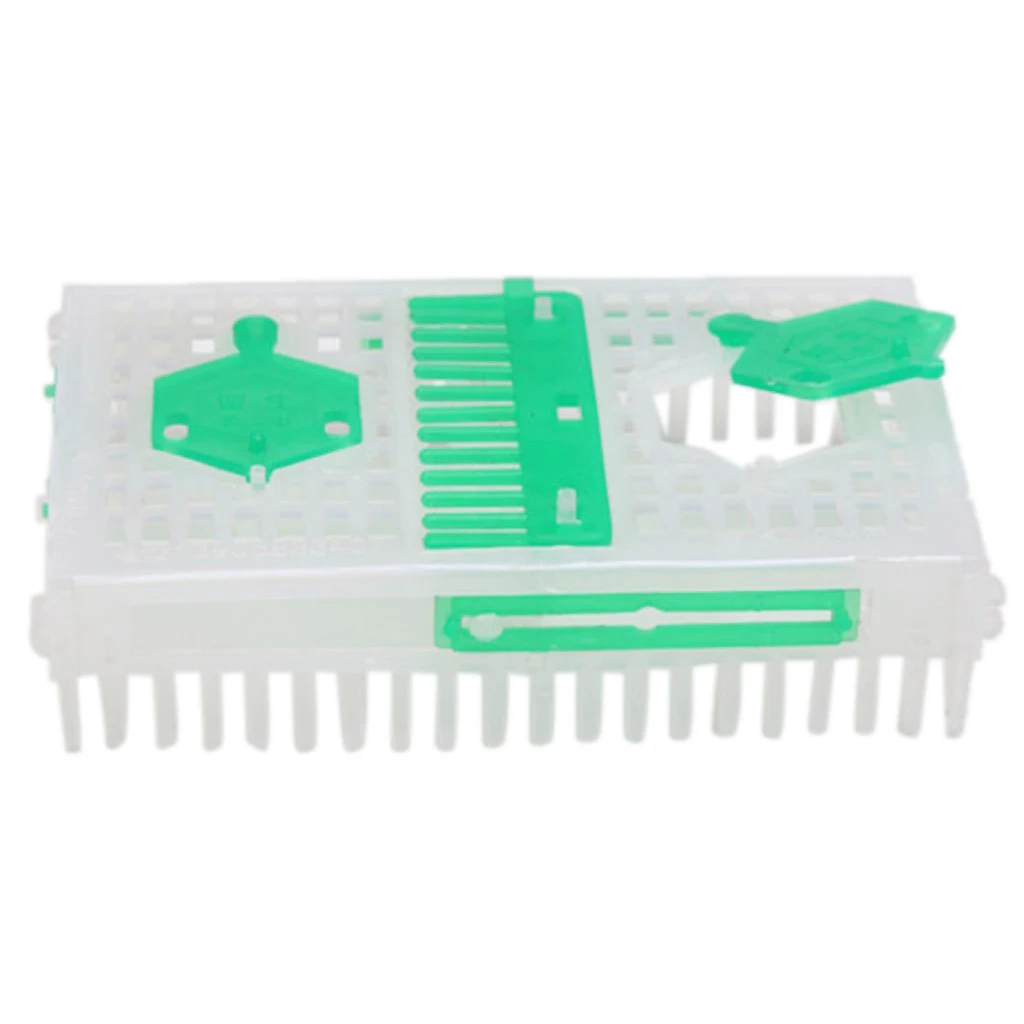 Beekeeper Queen Bee Cage Box Needle Cages Moving Catcher Beekeeping