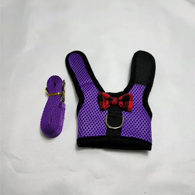 Image 13