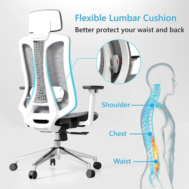 Logicfox Ergonomic Office Chair: Double Lumbar Support