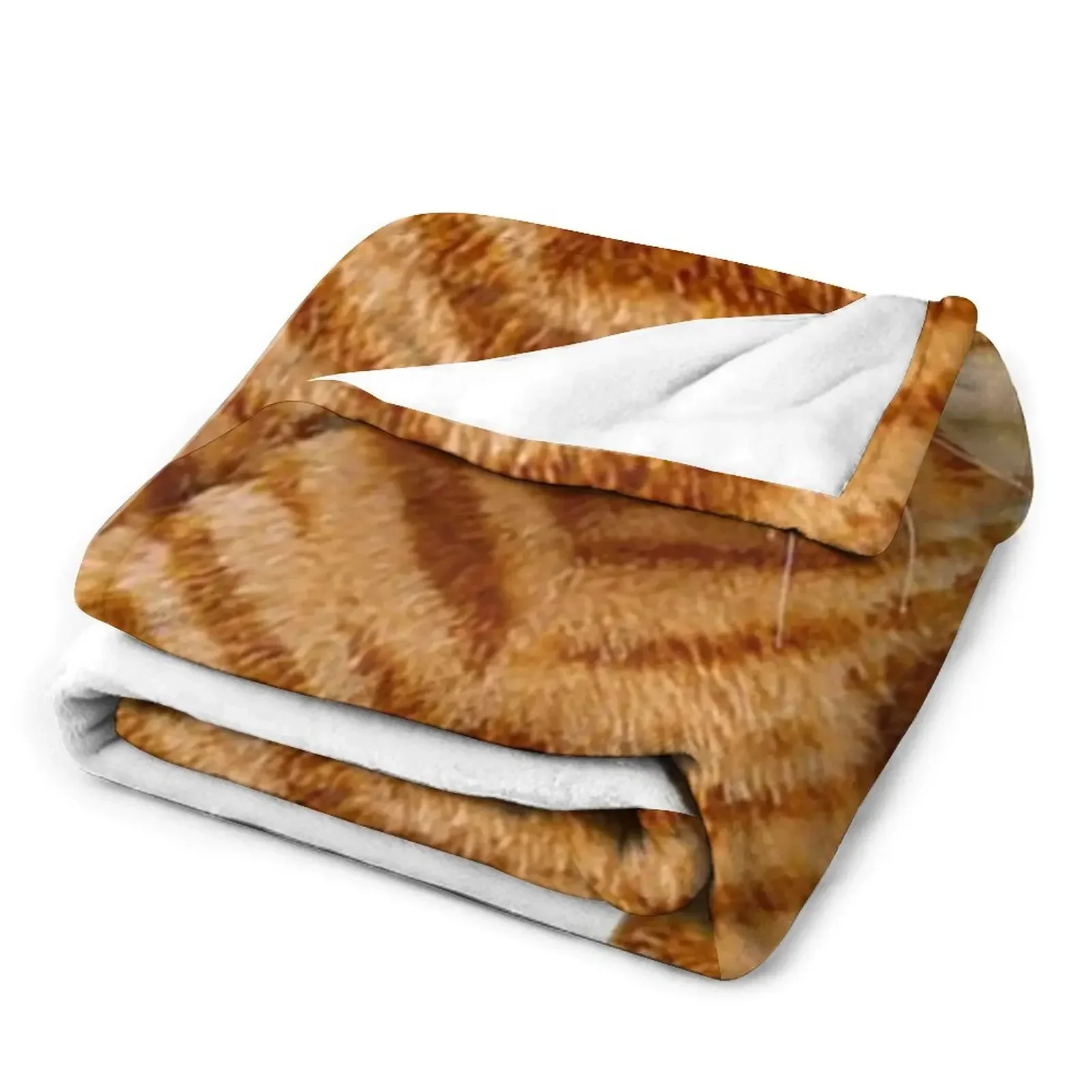 ���ʵ� ������ ���, ���� ����ִ� ����, �ʴ��� ������ ���