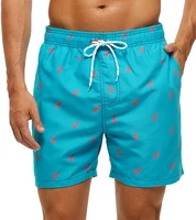 New 3D Simple Graphic Beach Shorts Men Women Fruit Pineapple Print Surf Board Trunks Hawaii Swimwear Pants Kids Cool Ice Shorts 2