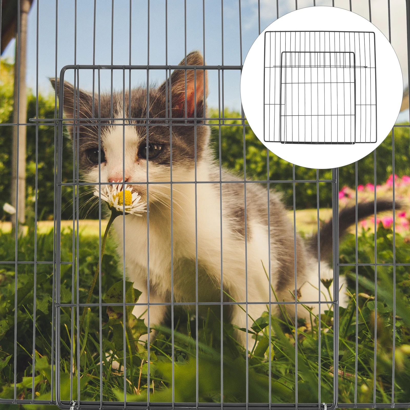 Fence For Rabbit Inside Scbdd9b920c6a47b6802f5a7f1ec2bebcF.jpg