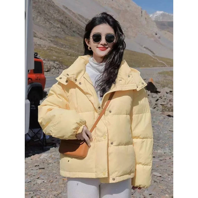 Рисунок 3 - Новинка 2023, маленькое молочно-желтое