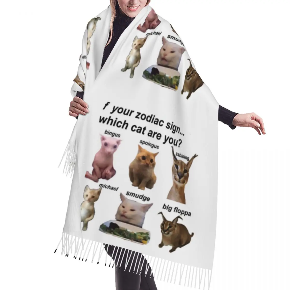 

Custom Printed Which Cat Are You Scarf Men Women Winter Fall Warm Fashion Versatile Scarves Funny Big Floppa Bingus Shawls Wraps