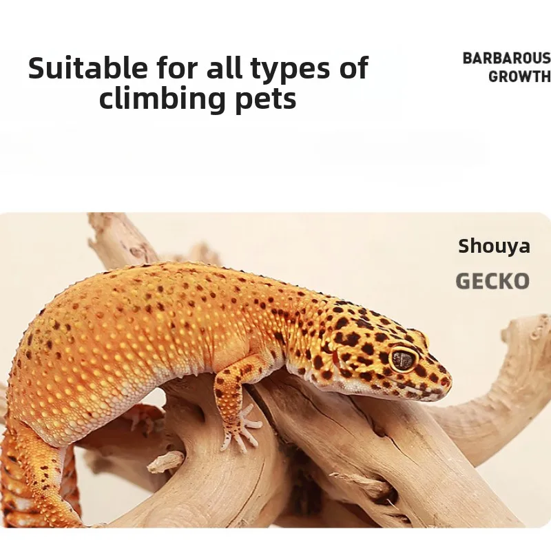 200ml Reptile Feces Deodorizing Spray-Odor Eliminator & Disinfectant for Gecko/Lizard/Snake Terrariums