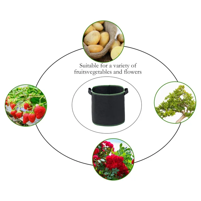 Tök Olaj Ömlesztett Fogantyúkkal Zöldségtartályokhoz Prémium Beltéri Táska És Kültéri Palánták Csomag 5 Napraforgó Chips A Madarakhoz - Image 6