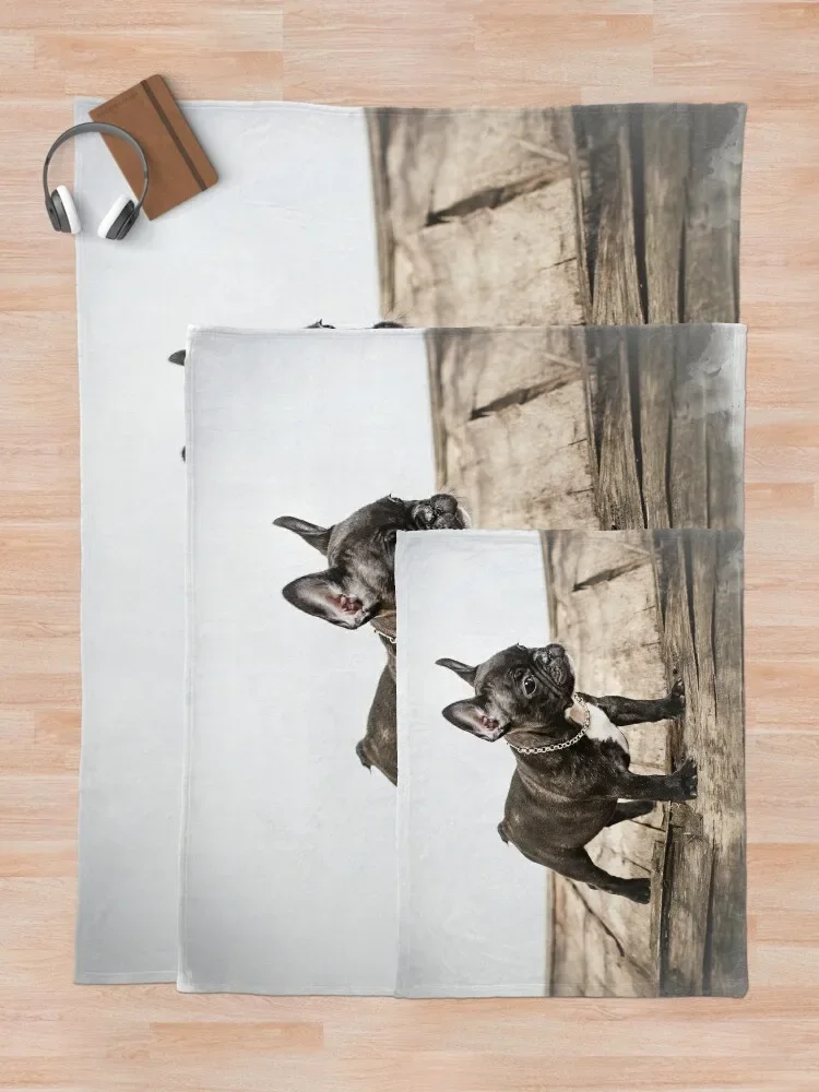 ����ġ �ҵ� �ʻ�ȭ ������ ���, ���� ������ �ܿ� �̺� ���