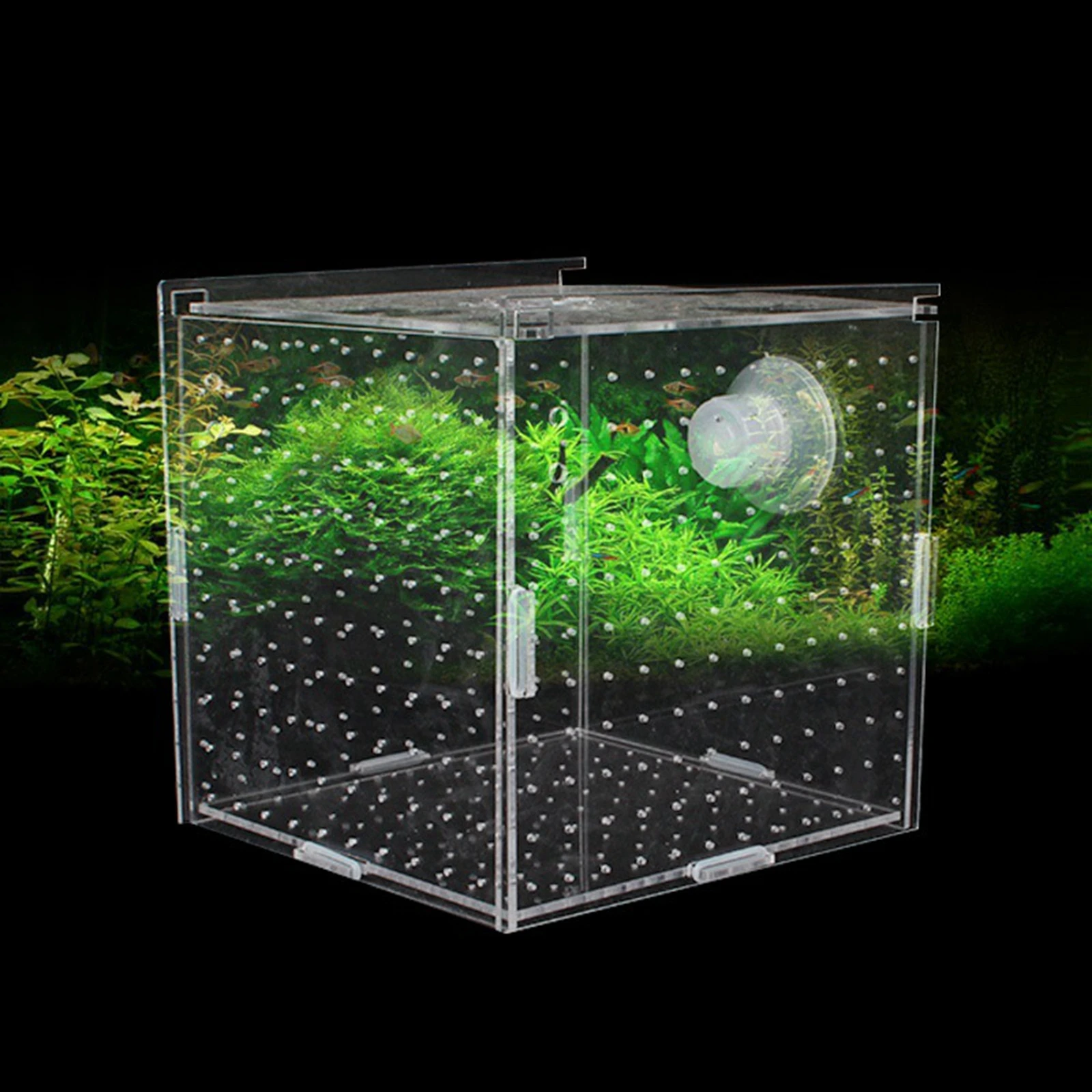 Fish Breeder Box Clear Acrylic Aquarium Accessory for Clownfish Aggressive Fish Baby Prawn Shrimp Guppy fish breeding box