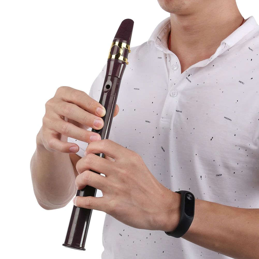 8-hole Mini Pocket Saxophone with Accessories Set Professional Saxophone for Beginner Music Lover Woodwind Instrument