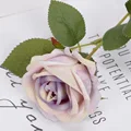 Purple core rose