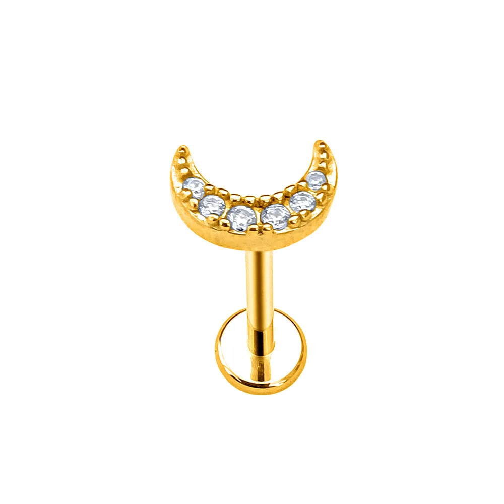 ASTM F136 G23 Titan Blume Herz Mond Blütenblätter CZ Threadless Piercing Blatt Spinne Fisch Libelle Pfau Daith Conch Ohrringe – Detail 10