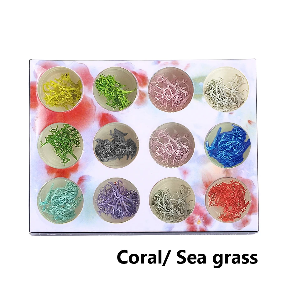 12Pcs Nagel Glitter Pulver Set Nagel Pailletten Shell Flocken Seide Leinen Gelee Perlen Dekoration Bunte DIY Maniküre Nail art decor – Detail 5