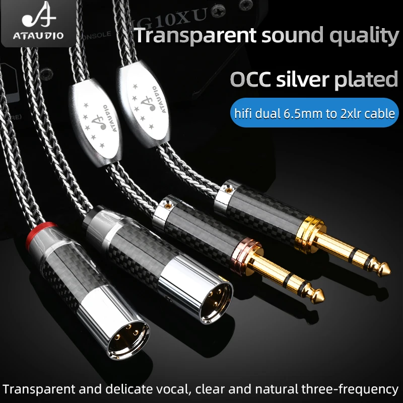 ATAAUDIO Câble audio 6,35 mm TRS vers XLR Argent 5