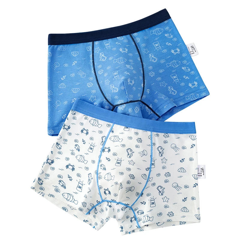 Boys Underwear 2Pcs Cotton Boxer for 2-14 Years