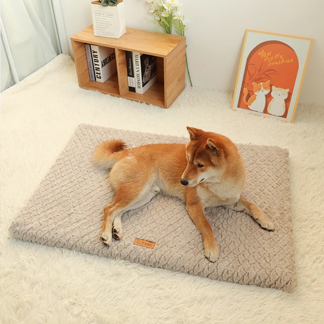 Short Plush Removable Washable Pet Bed, High Elasticity Non-Collapse Dog Bed, Suitable For Small And Medium Dogs and Cats 6