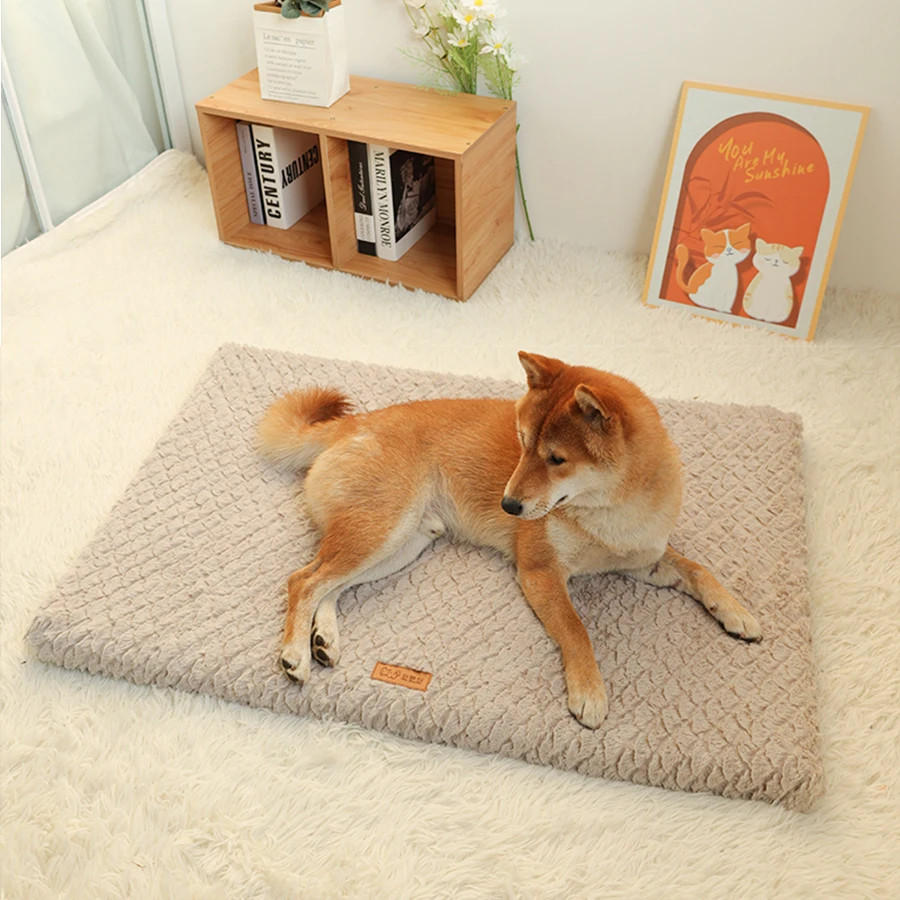 Washable bed, Small Medium pets 6