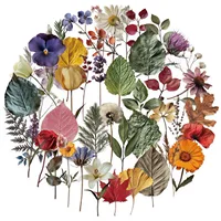 10/25/50 шт. смешанные прозрачные наклейки с цветами и листьями для декора, канцелярские принадлежности для скрапбукинга, дневника, бутылки с водой, телефона, ноутбука — изображение 2