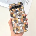 Case-c25