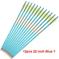 12pcs 22inch Blue 1