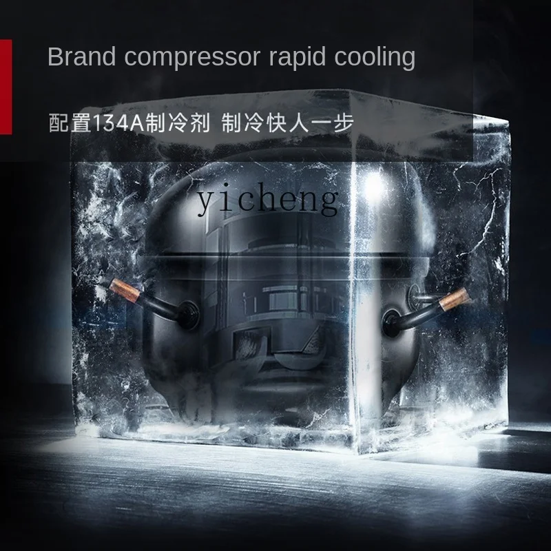 Tqh Air Cooling Frostless Two-Door Refrigerator Commercial Vertical Refrigerated Cabinet Freezer Cake Strip Freezer
