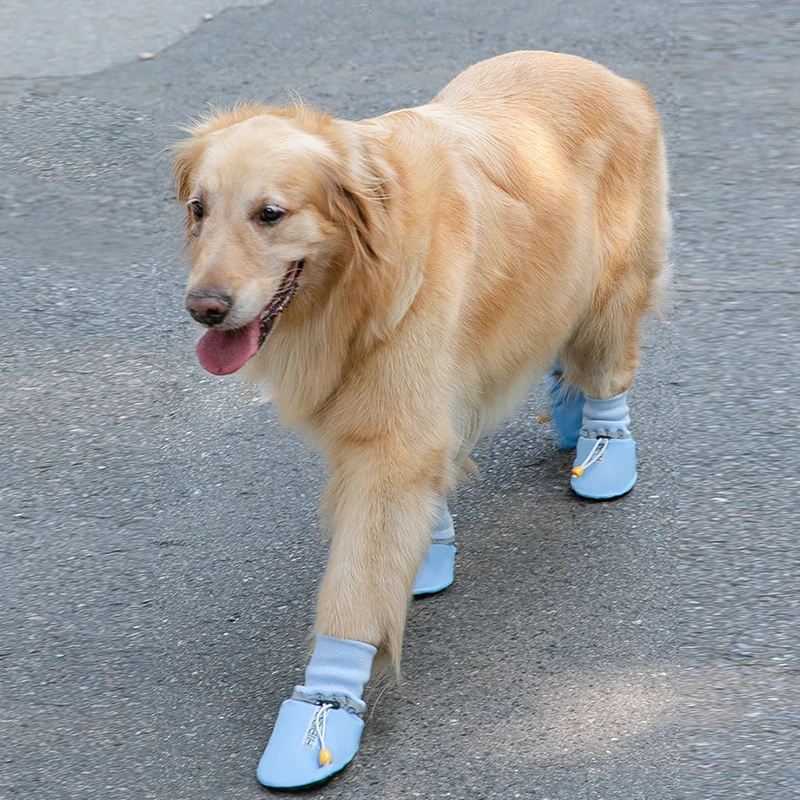 Simple Shoes For Dogs - Can Wear 4 Seasons